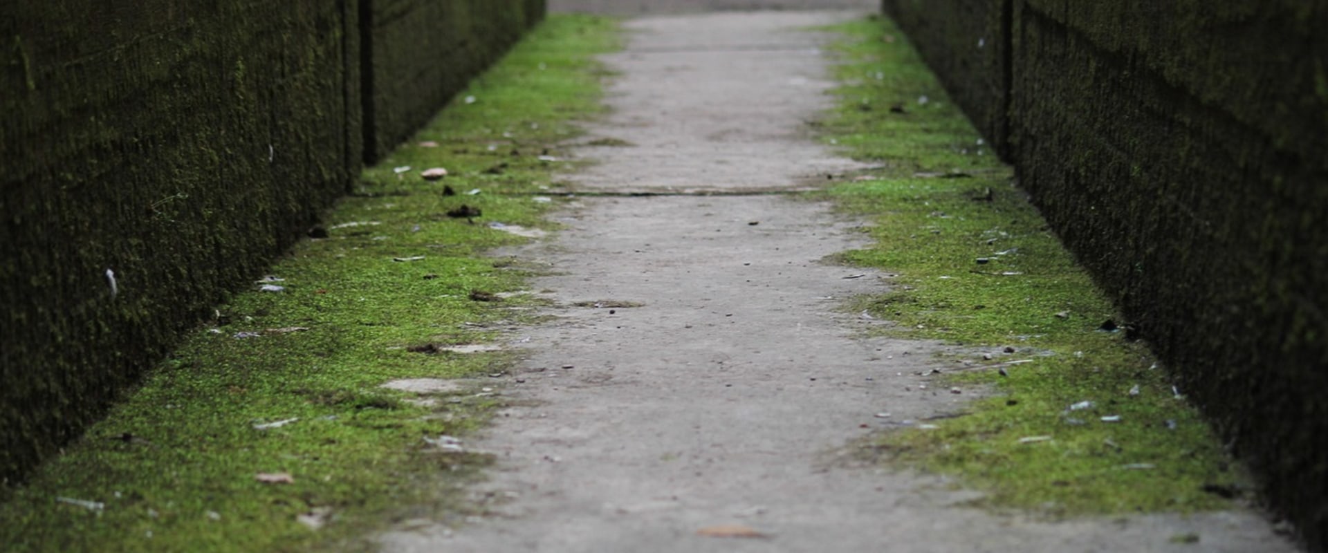 Enhance Your Home's Appeal with Restoration and Staging