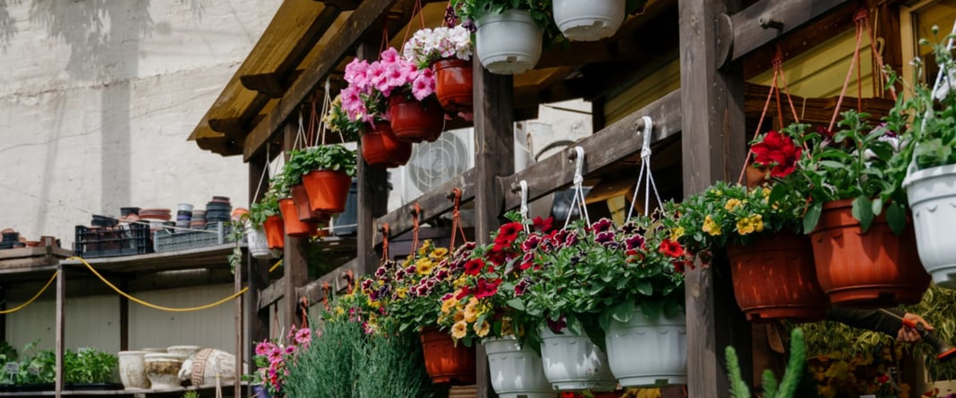 Enhance Curb Appeal with Expert Landscape Design