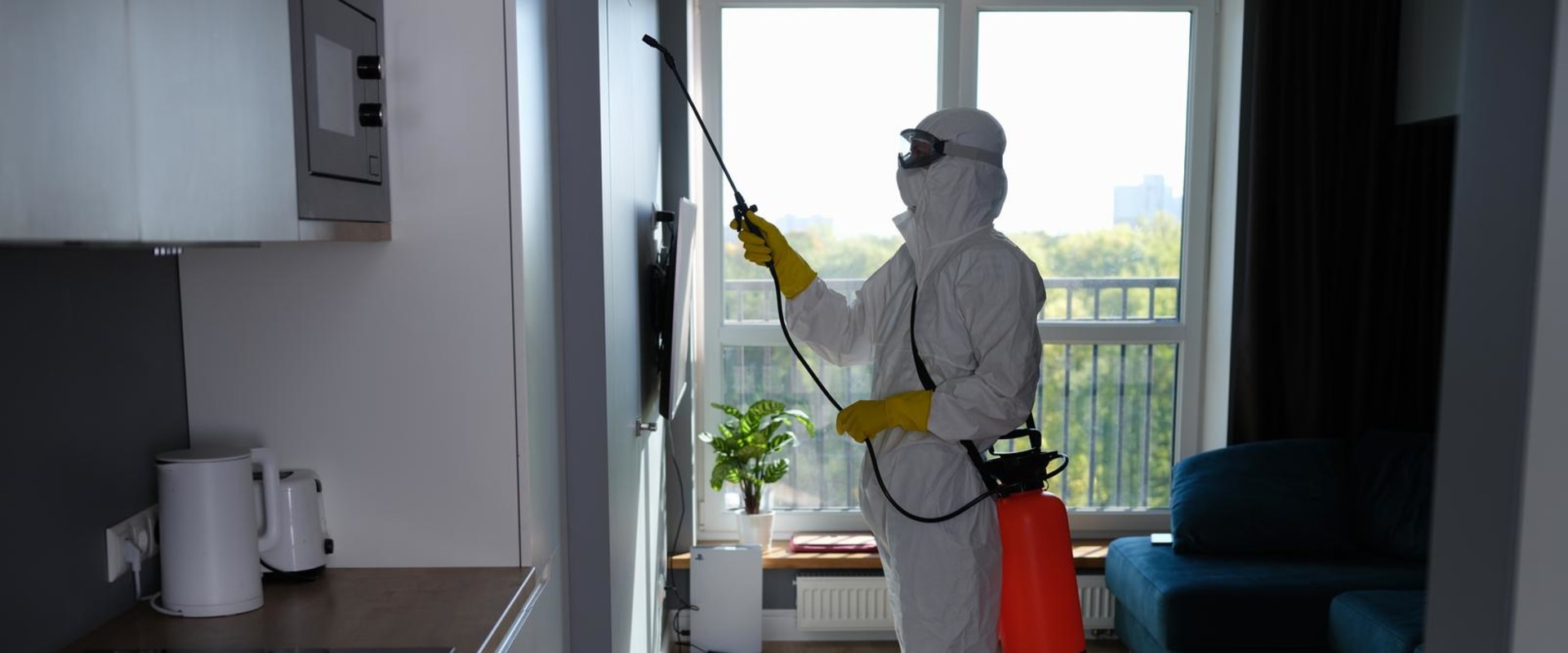 From Infestation To Transformation: Pest Insect Control Service Tips For Calgary Home Staging