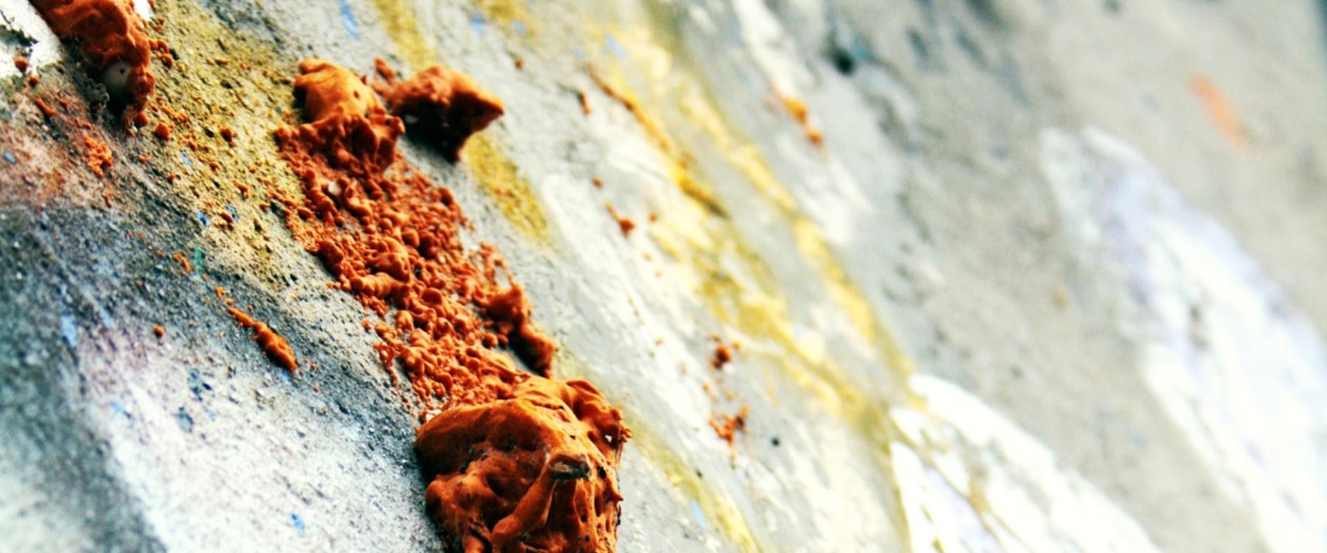 Mold Removal in Caseyville, IL and Home Staging: Preparing Homes for Strong Buyer Appeal