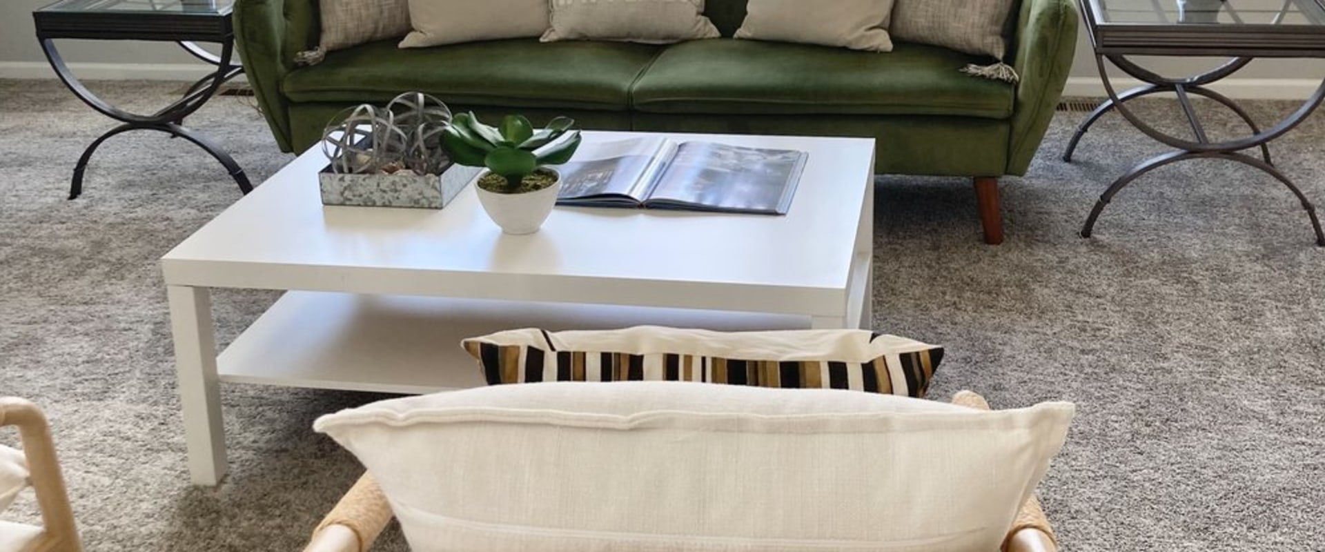 Boost Home Staging Success With Professional Pest Control Service In Johns Island