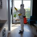 From Infestation To Transformation: Pest Insect Control Service Tips For Calgary Home Staging