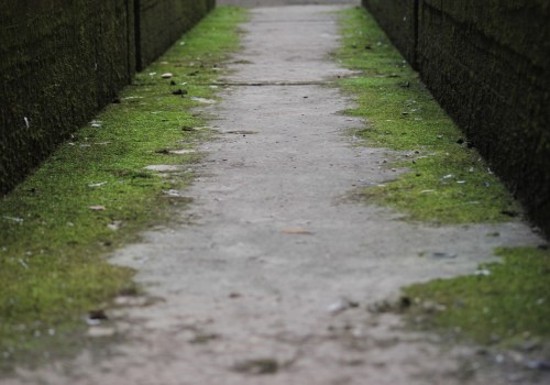 Enhance Your Home's Appeal with Restoration and Staging