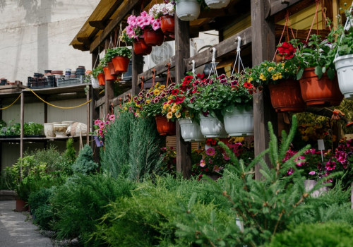 Enhance Curb Appeal with Expert Landscape Design