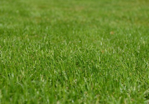 Enhance Your Property with Expert Lawn Care and Home Staging in Loudoun County