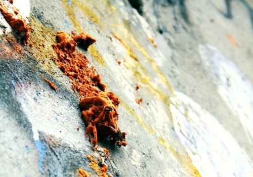 Mold Removal in Caseyville, IL and Home Staging: Preparing Homes for Strong Buyer Appeal